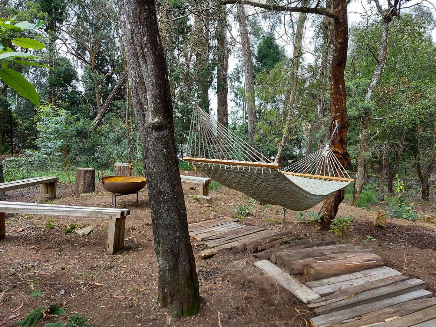 Saffronstays Dunnottar North By Kodai Lake- A 2-Bdr Villa Kodaikanal Ngoại thất bức ảnh